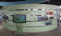 2016 Manatee Lagoon Center in Riviera Beach, Fla., on Mar. 8, 2016.